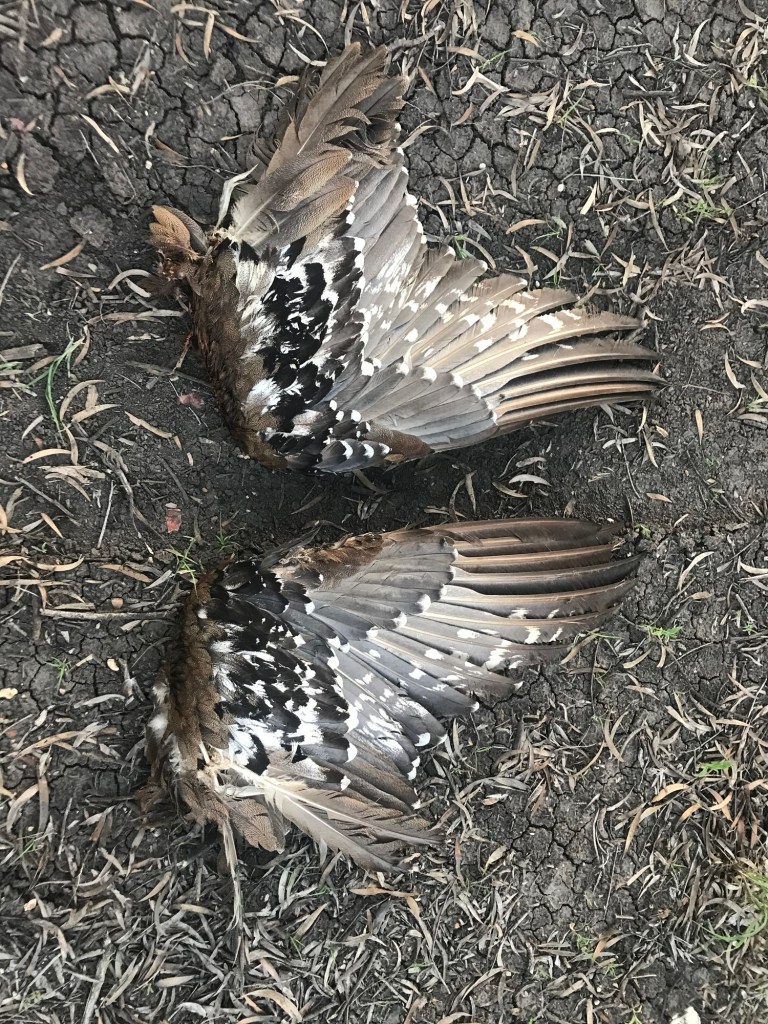 Aggregating a Post’s Data From Stream Using the Index Server